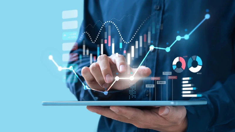 The place of TMS in the financial structure of organizations
