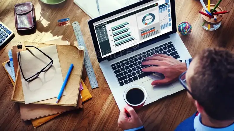 Why does financial management need software?
