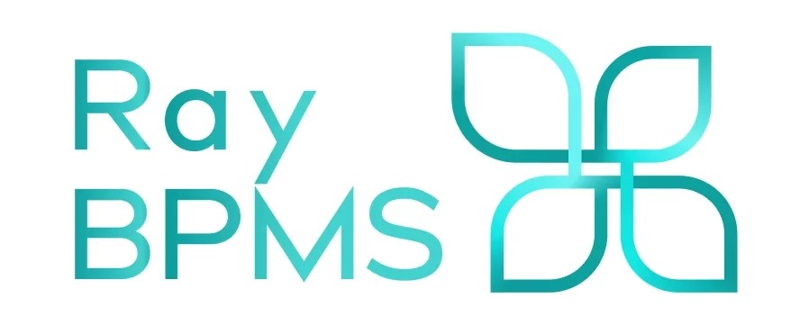 RayBPMS